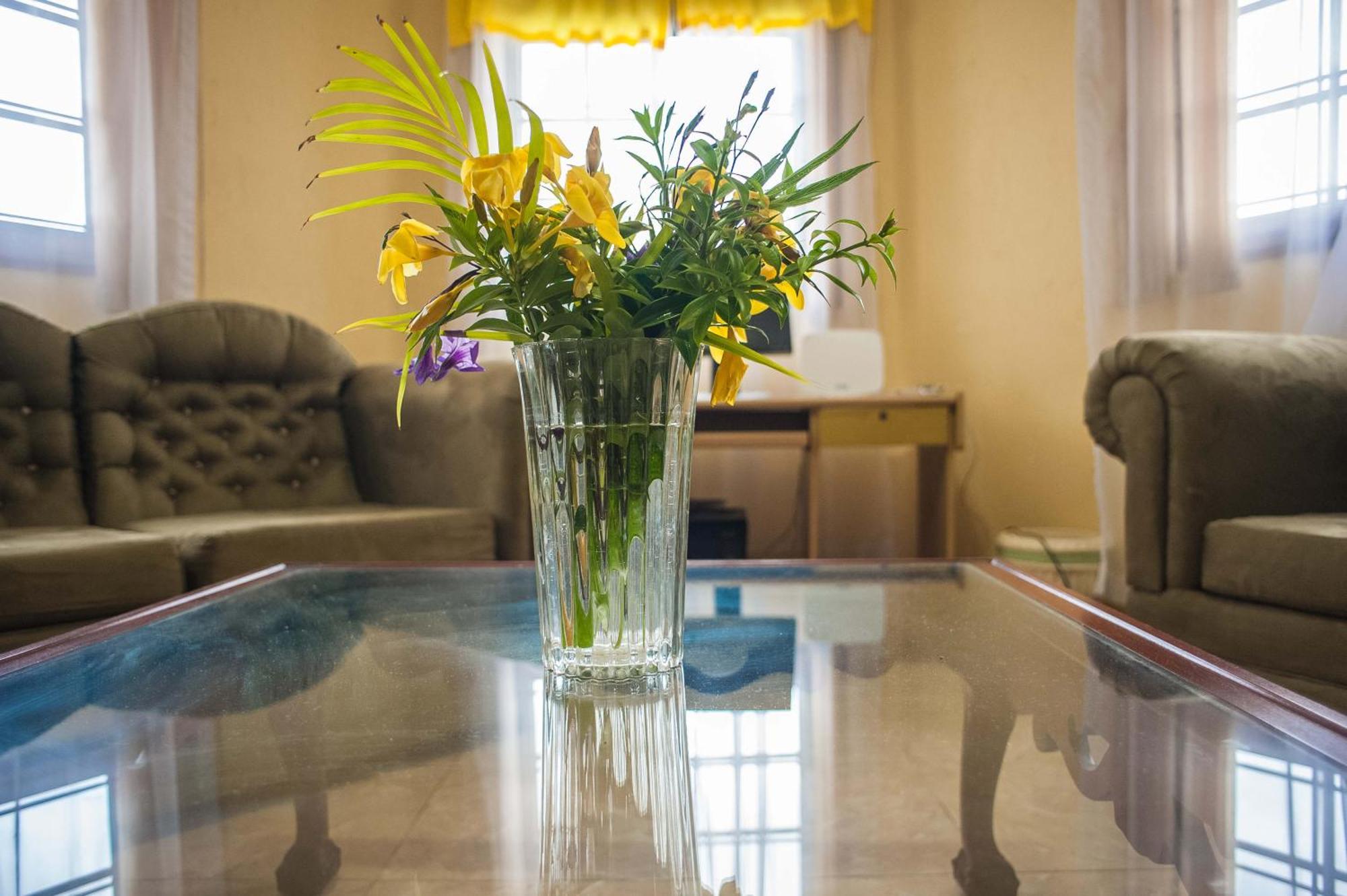 מונטגו ביי Clarridge View Guesthouse מראה חיצוני תמונה